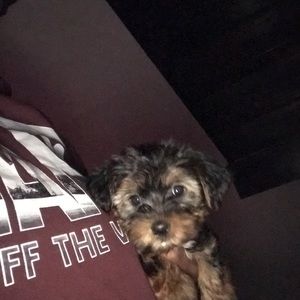 Meet your Posher, Shalanda